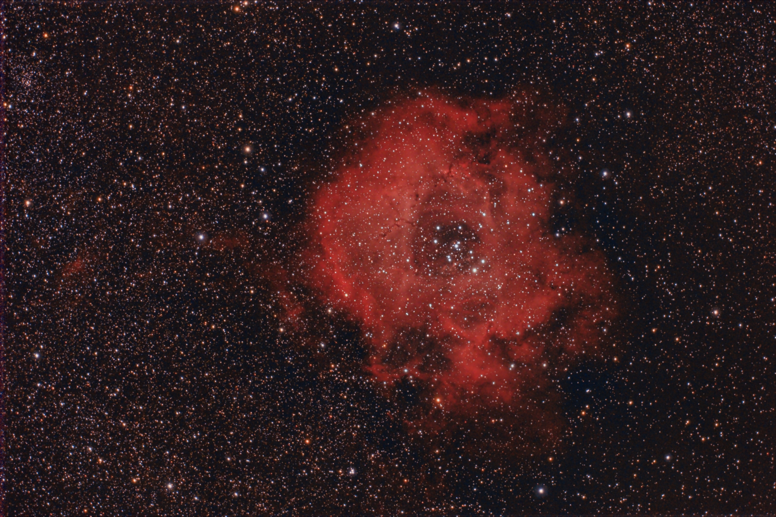E-nebula NGC2244 from December 20th, 2016; 26x5min at 384mm; IDAS V4-filter; 80mm f/6 APO; mod. Canon 1100d;