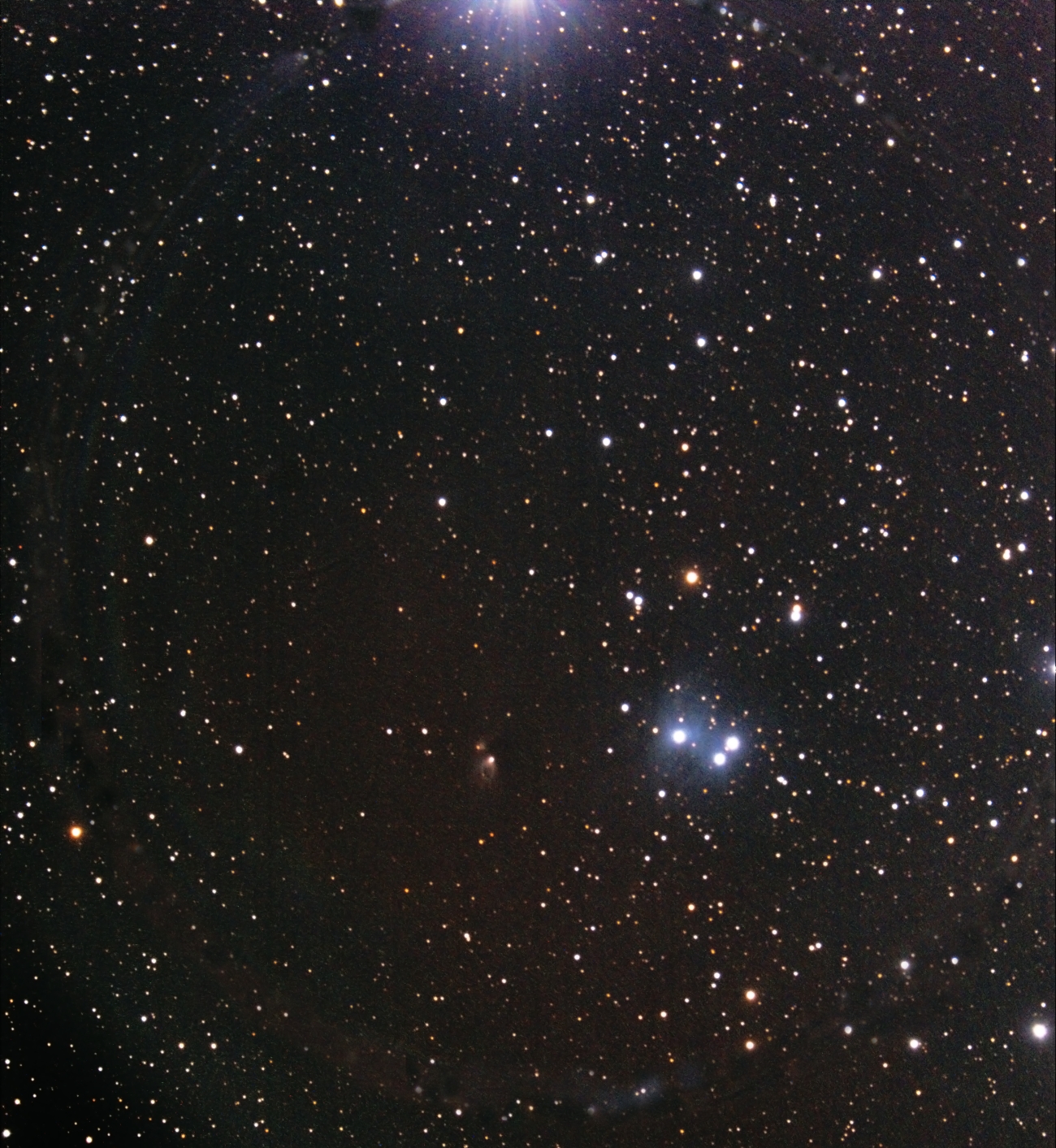 reflexion nebula Vdb 1 from September 7th, 2016; 5x10min; C9.25 at 1525mm; mod. Canon 1100d, uv_ir filter; reflexion of the bright star was masked;