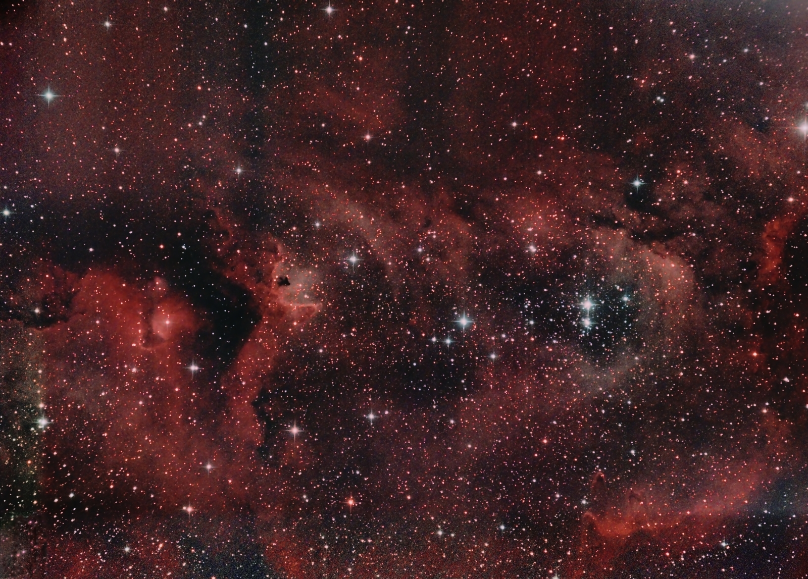 soul nebula IC 1848 from November 30th, 2019; 8" f/4 newtonian; mod. Canon 77d; 333x32 sec; 2 nebula filters in one imagetrain (Idas V4 + Astronomik UHC)