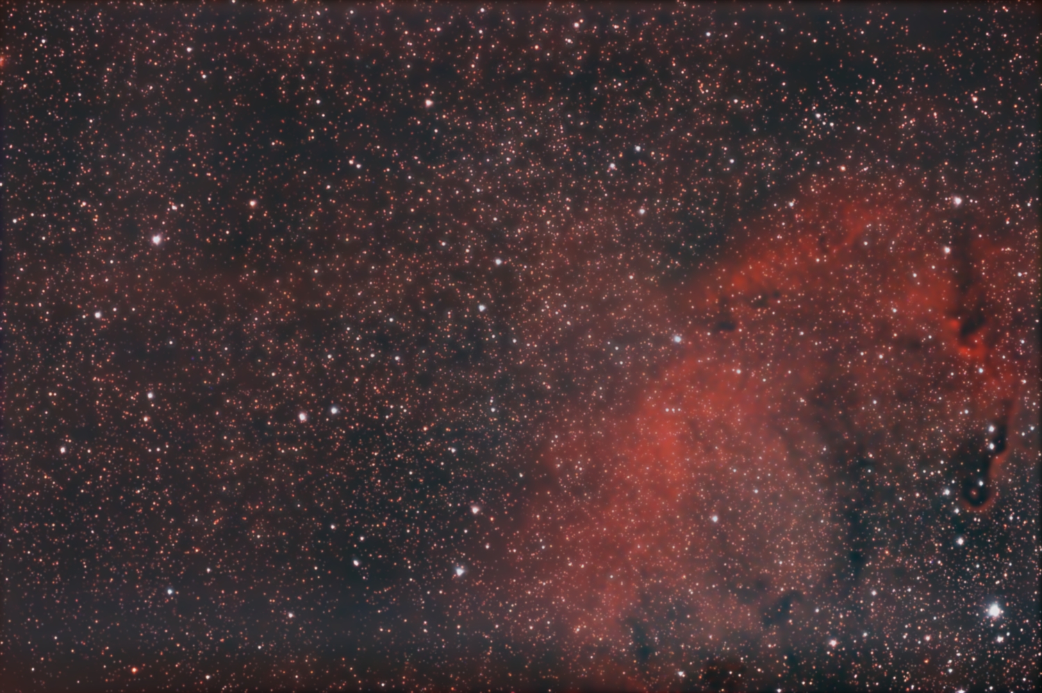 IC 1396 from May 25th, 2012; achromat 127/635mm at 500mm; UHC-filter; total 2h 42min; mod. Canon 1100d;
