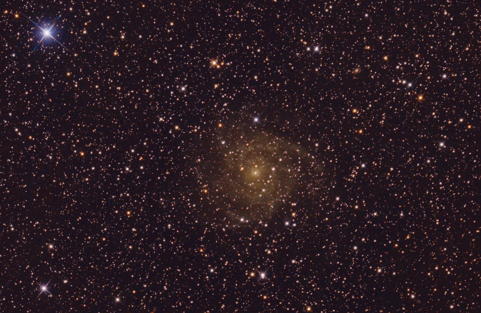 Galaxy IC 342 in Camelopardalis, 6" f/4 Newton at f/3, mod. Canon 77d, 330x32 sec, no filter, no guiding, no darks, only flats and biasse;