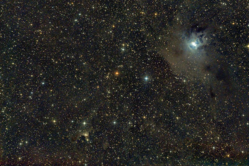from vdb 141 (Ghost nebula; bottom: middle left) til blue Iris nebula NGC 7023 in Cepheus; 6" Newt at f/3; uv_ir filter; 308x30sec; mod. Canon 77d; octobre 17th, 2023; bortle 6-7