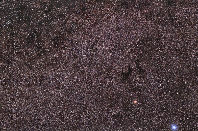 DN Barnard 142/143 widefield in Aquila with Atair, Tarazed: Samyang 135mm; mod. Canon 750d; 127x30sec; uv_ir filter; from June 17th, 2023; North = left!; bortle 7-8;