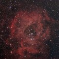 Rosette nebula NGC 2237-2244 with 6" newtonian at f/3 under bortle 8 sky; mod. Canon 77d; 128x30 sec with Optolong l-pro filter; from January 8th, 2024;
