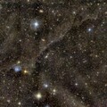 dark nebula LDN 1235 Hayfish nebula in Cepheus; 6" f/4 Newt at f/3; mod. Canon 77d; uv_ir filter; 378x30sec; bortle 6-7; from September 15th, 2023;