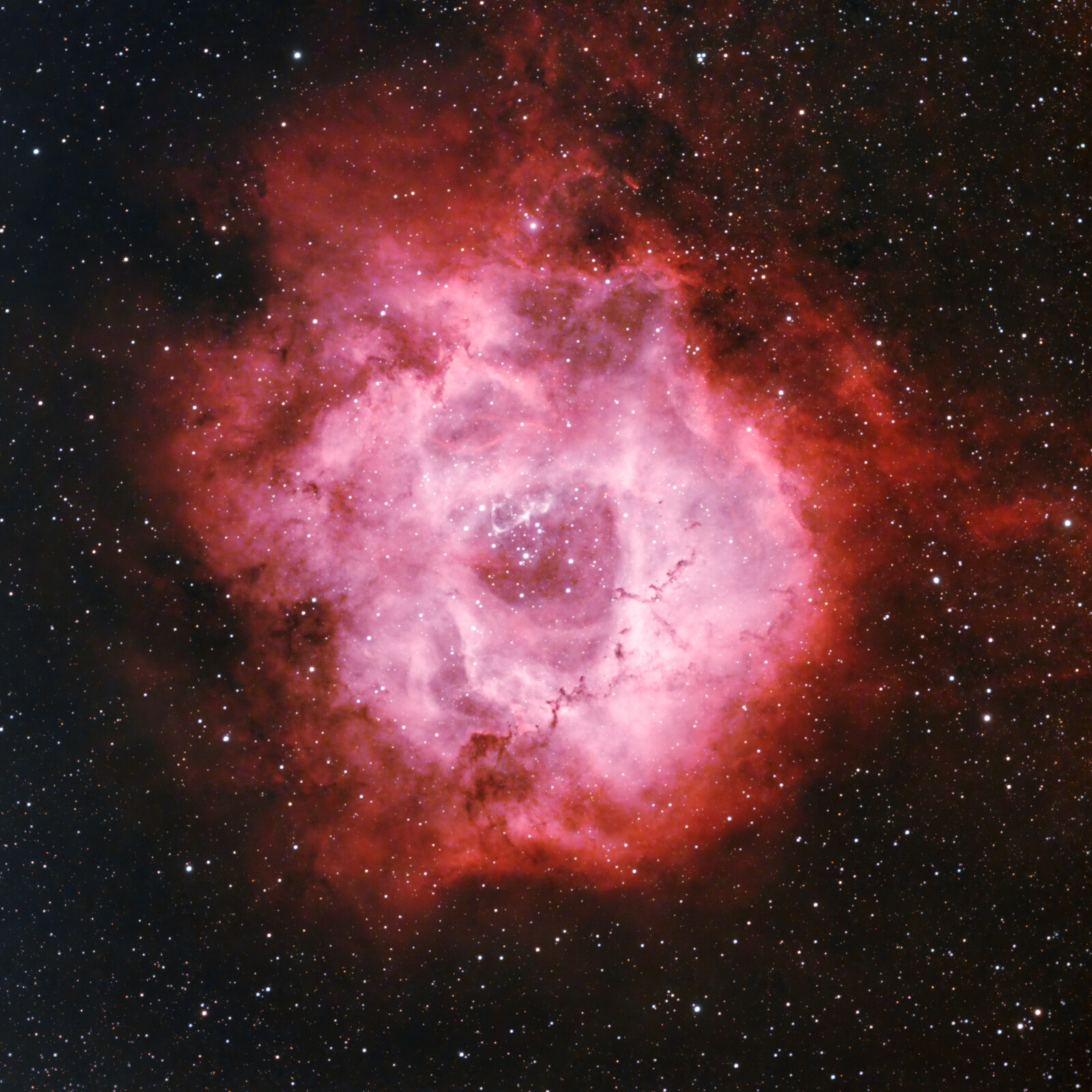 NGC 2244 Rosette LULT BMS FINAL3