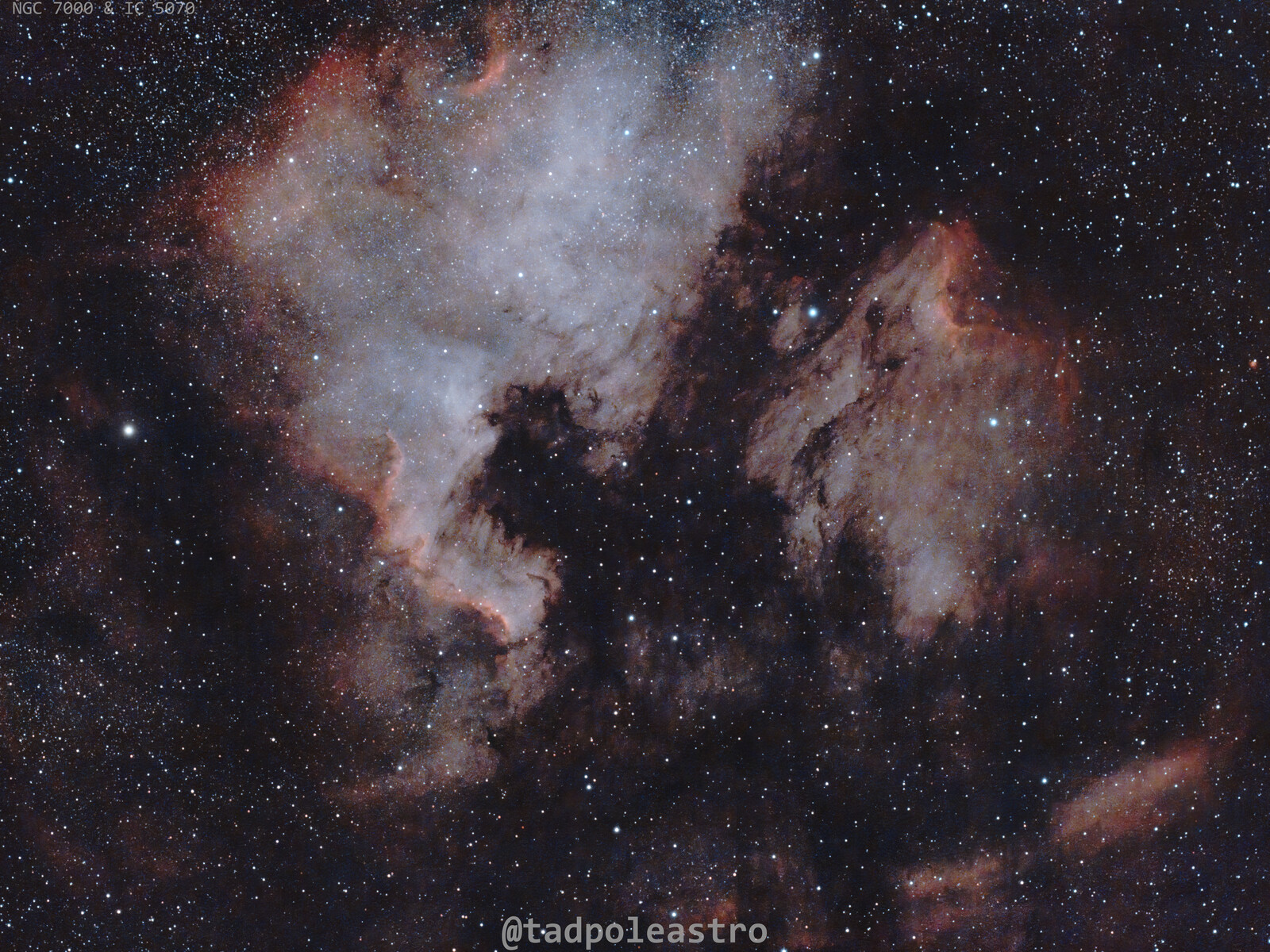 NGC 7000 and IC 5070 - 2022