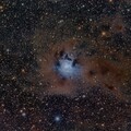 2023 09 15 NGC 7023 Iris Nebula