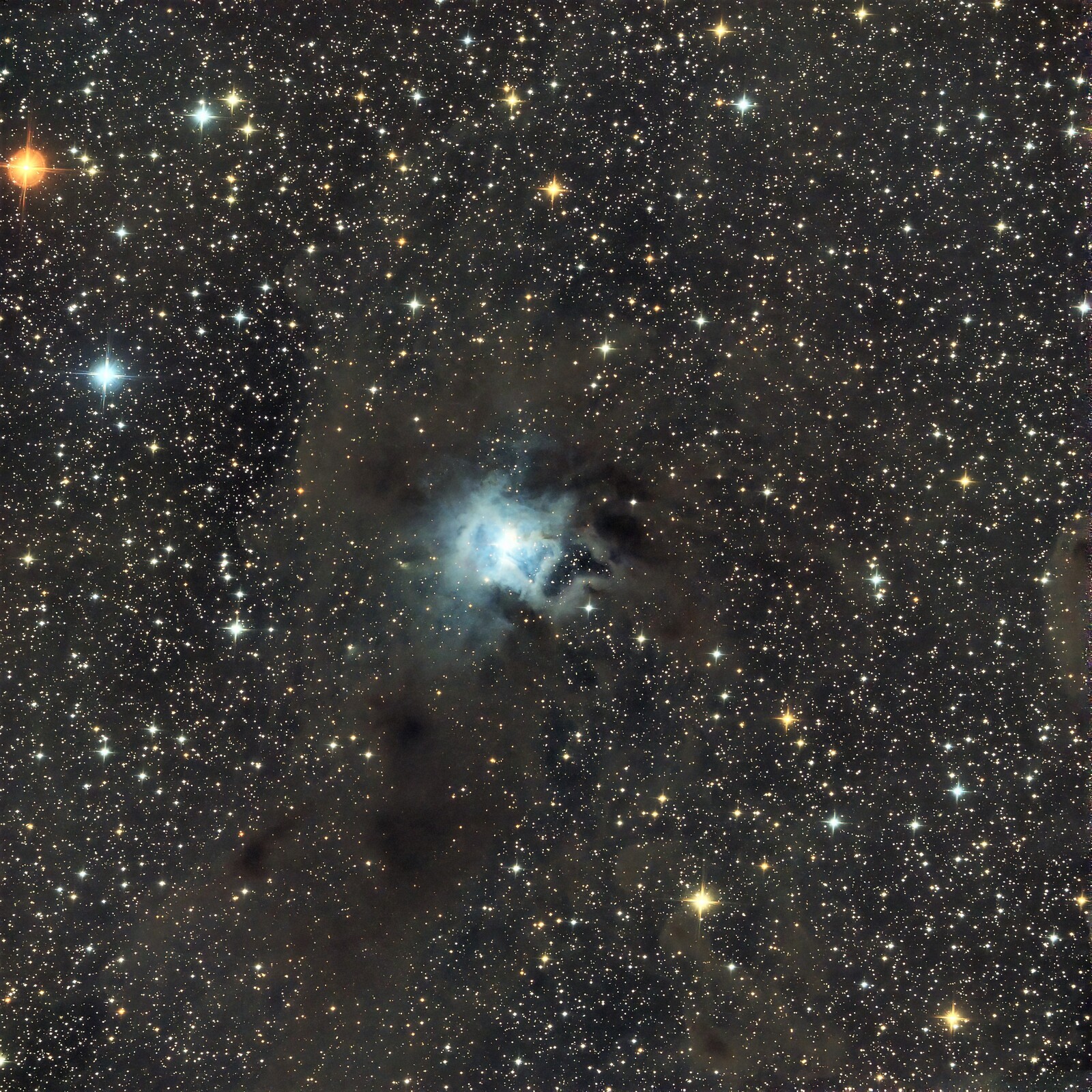 iris nebula - Orion