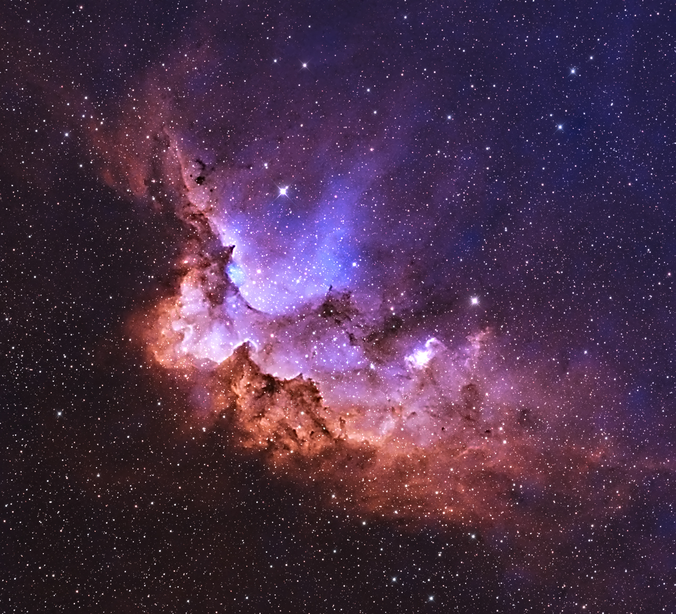 WIZARD Nebula