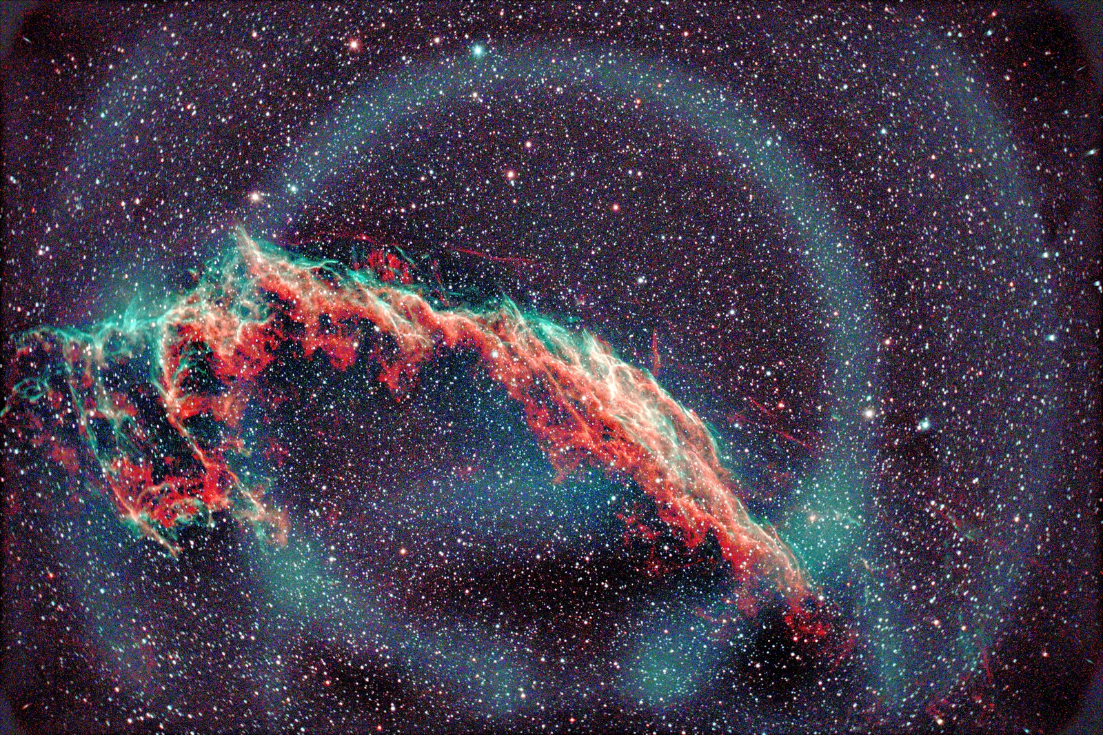 ring bands In image