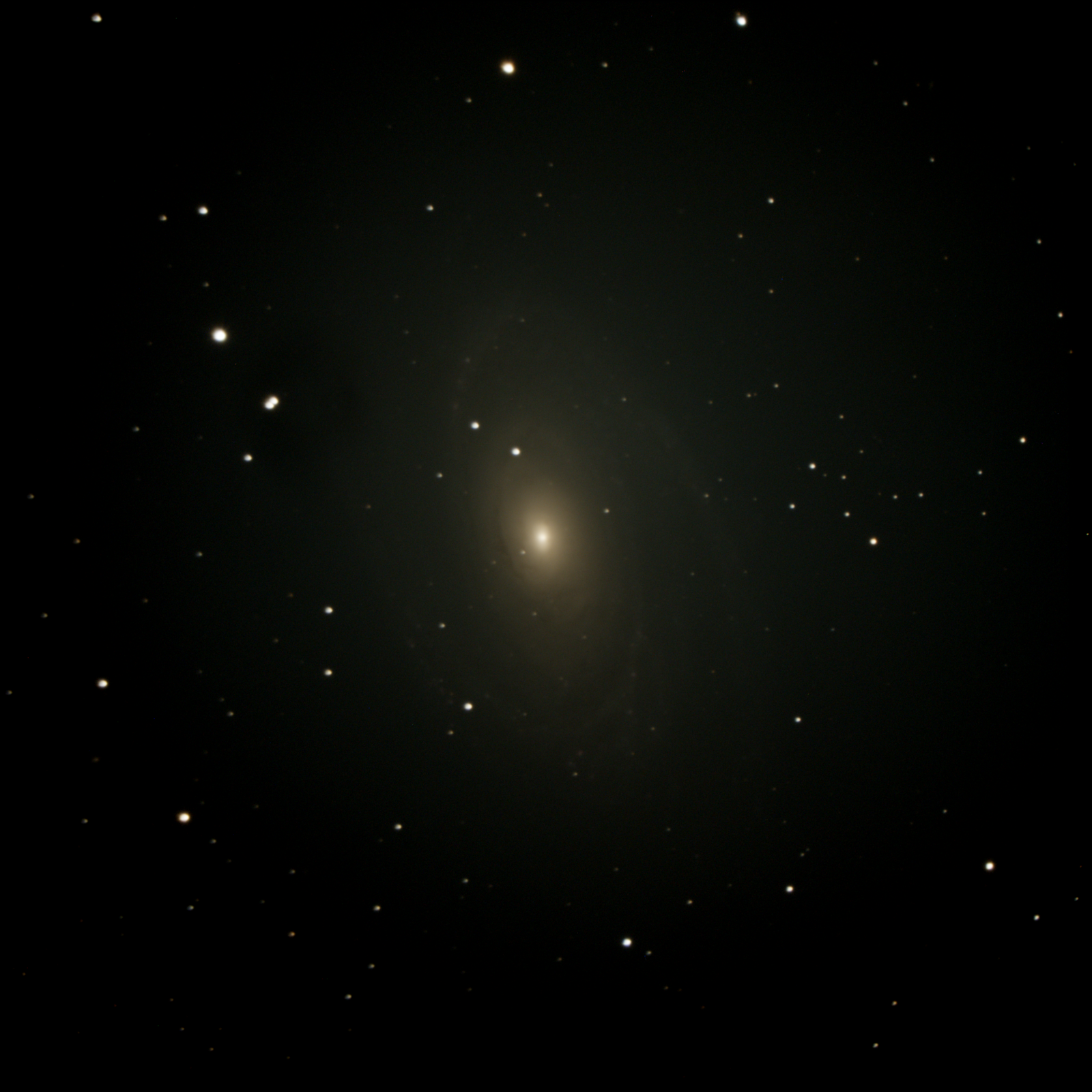 M81 (30s X 73 @ G250)