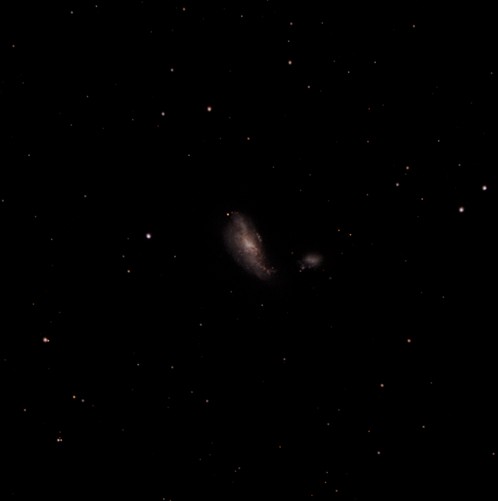 NGC 4490 (178frames 2670s)   GIMP (StarReduction, Levels)