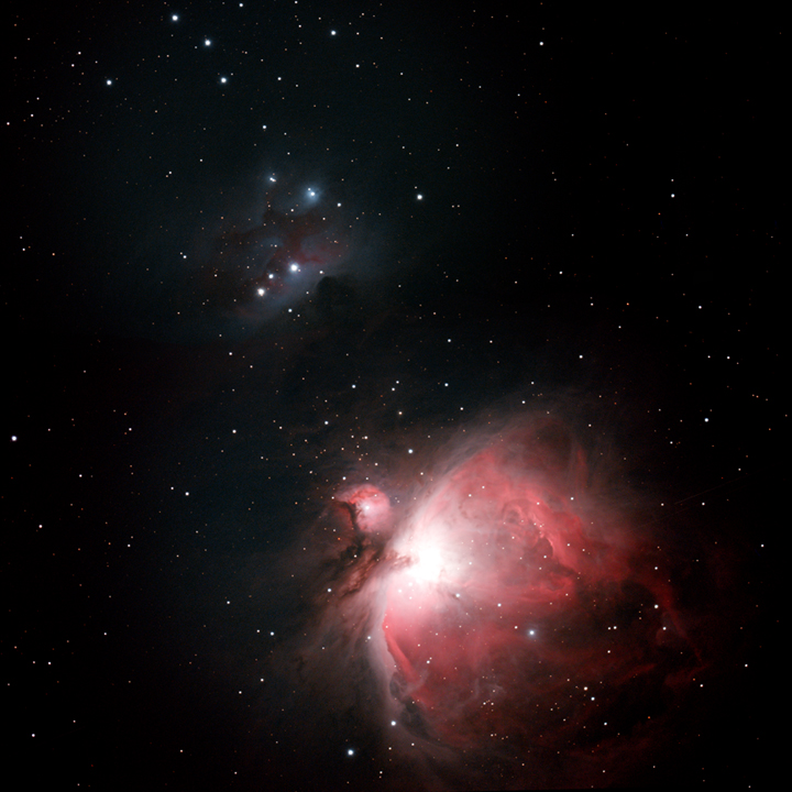 M42 RunningMan CollageSm