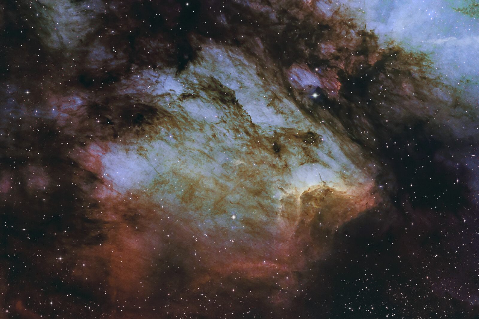 Pelican Nebula Medium 2