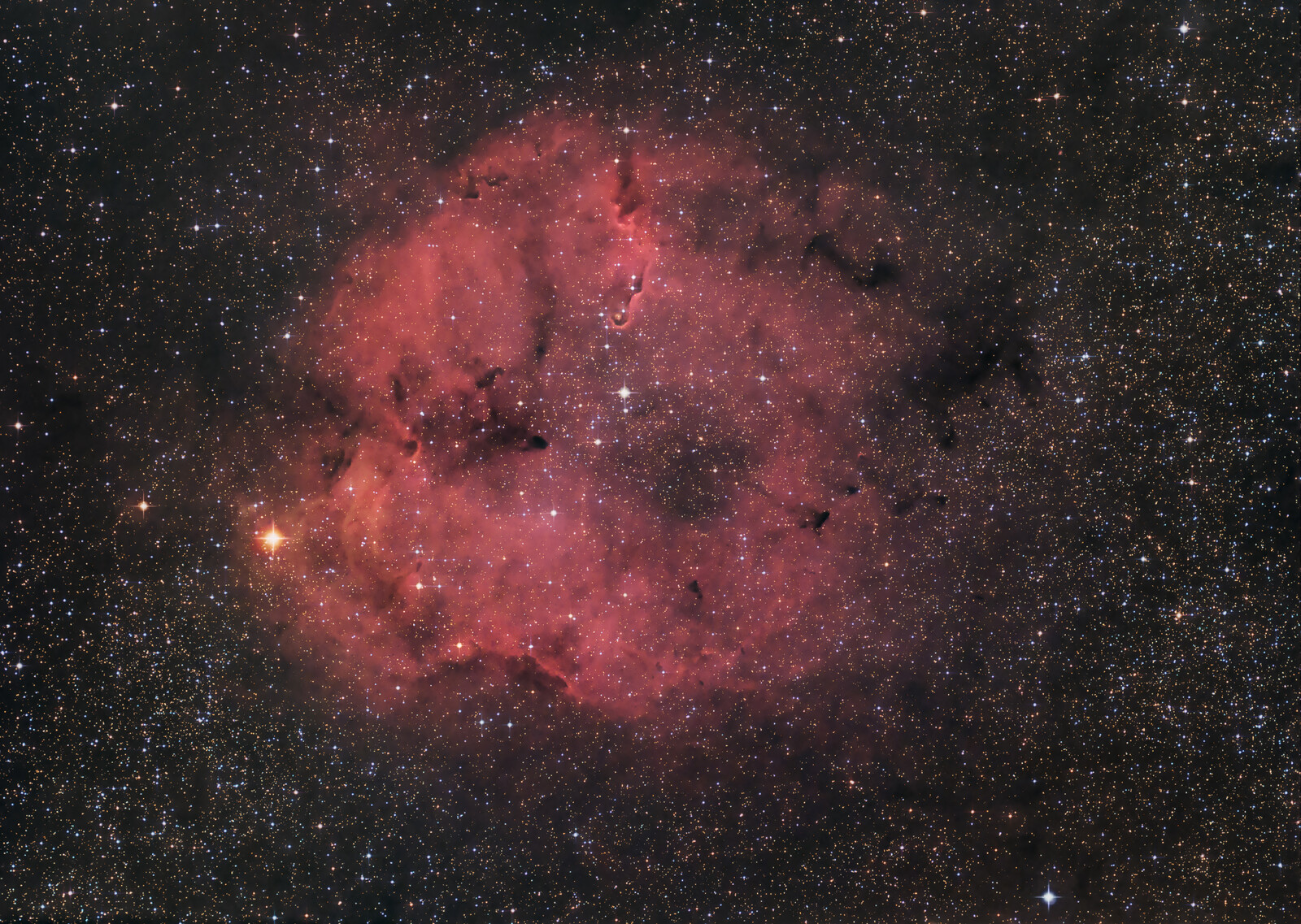 IC 1396 and The Elephant Trunk Nebula