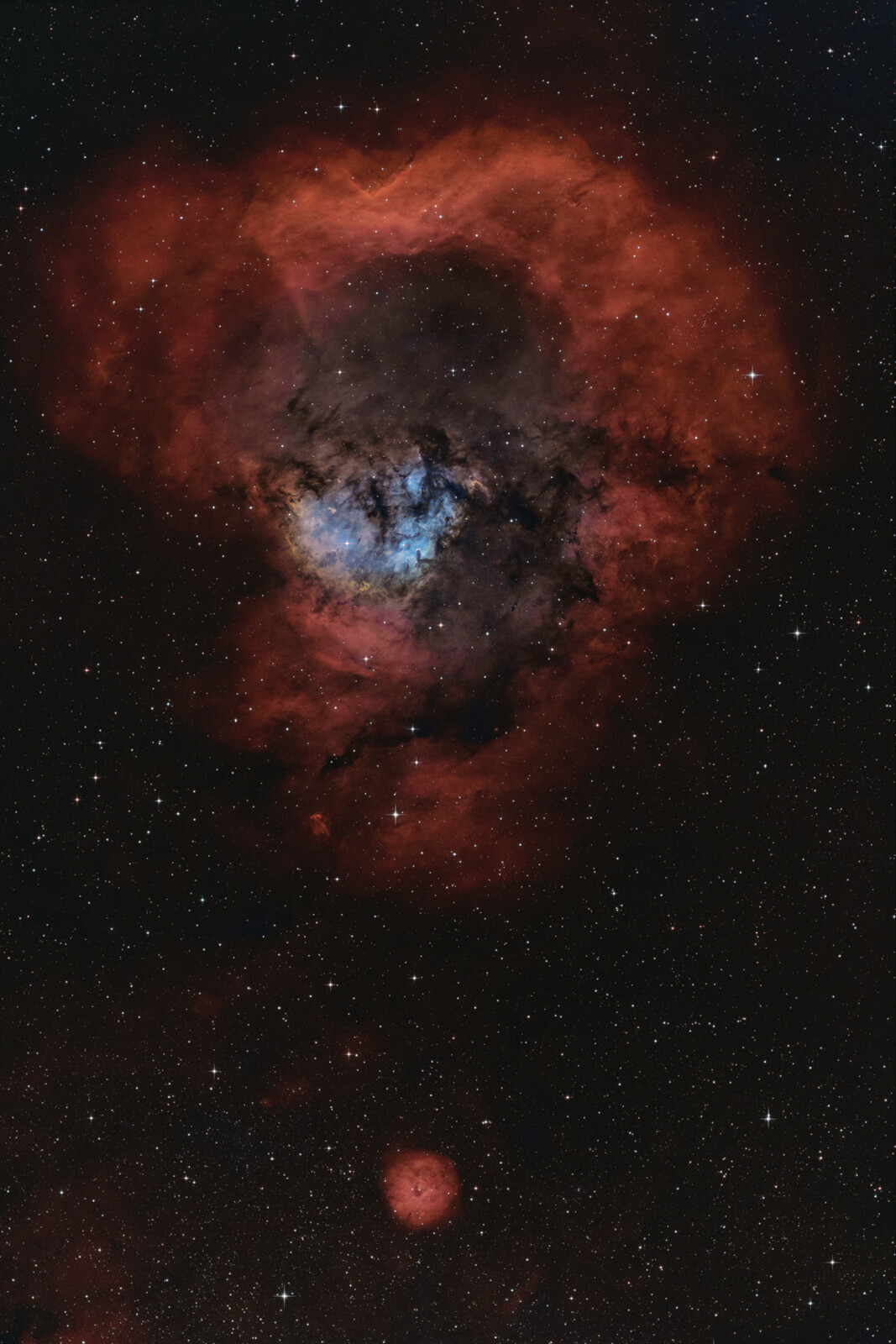 NGC7822 HOO Jpeg MEDIUM