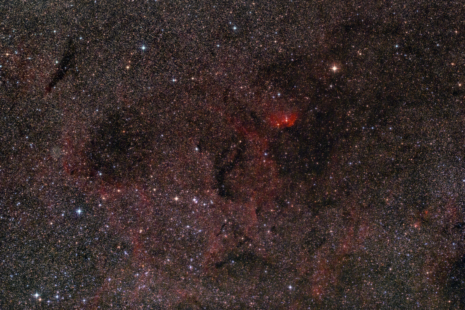 Tulip Nebula Region in Cygnus