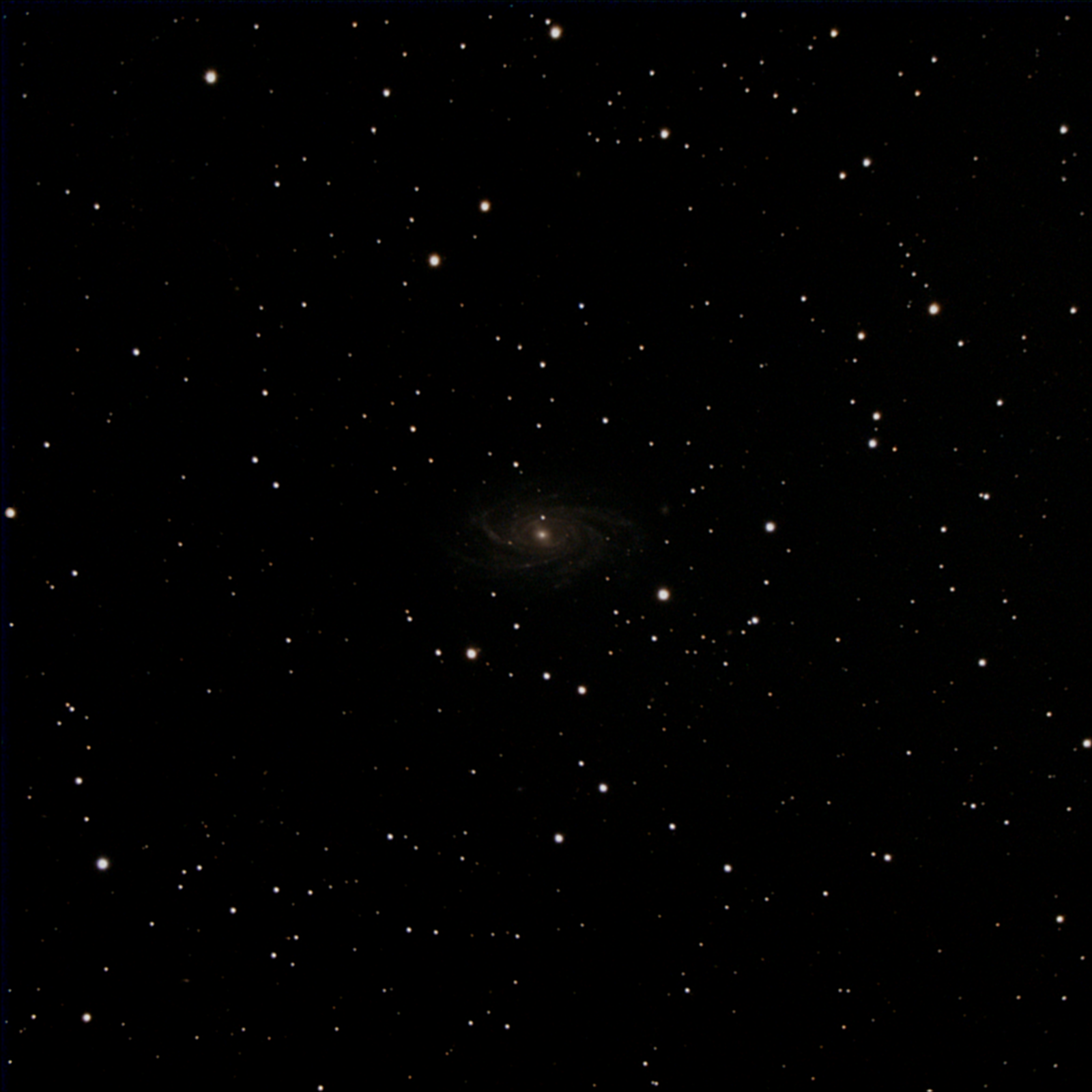 NGC 2336 260frames 3900s
