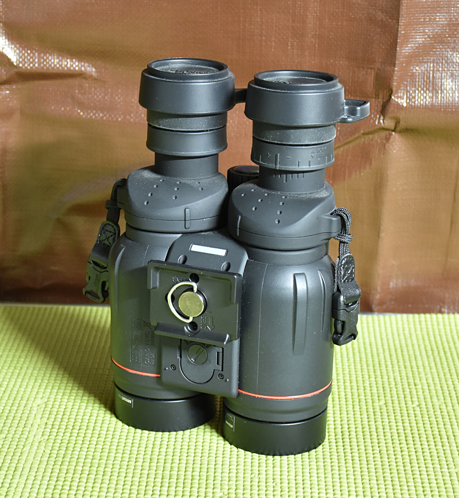 Canon 10x42L with quick release