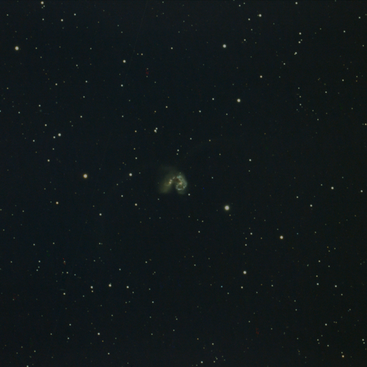 NGC4039 Darwin 151F 1208S NoEdit 05012022s
