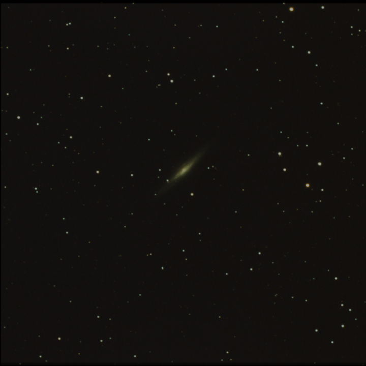 NGC 2683 Darwin 81F 648S NoEdit 05032022s