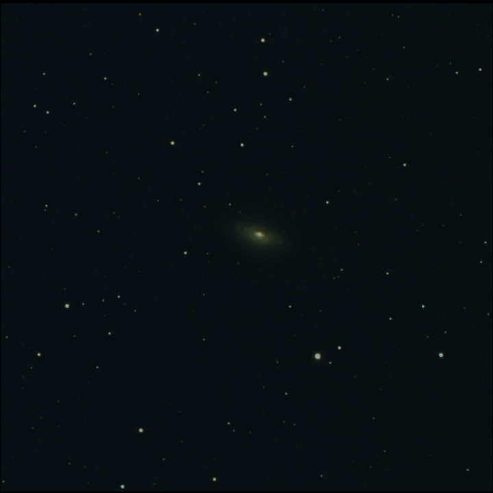 NGC3521 Darwin 81F 648S NoEdit 05032022s