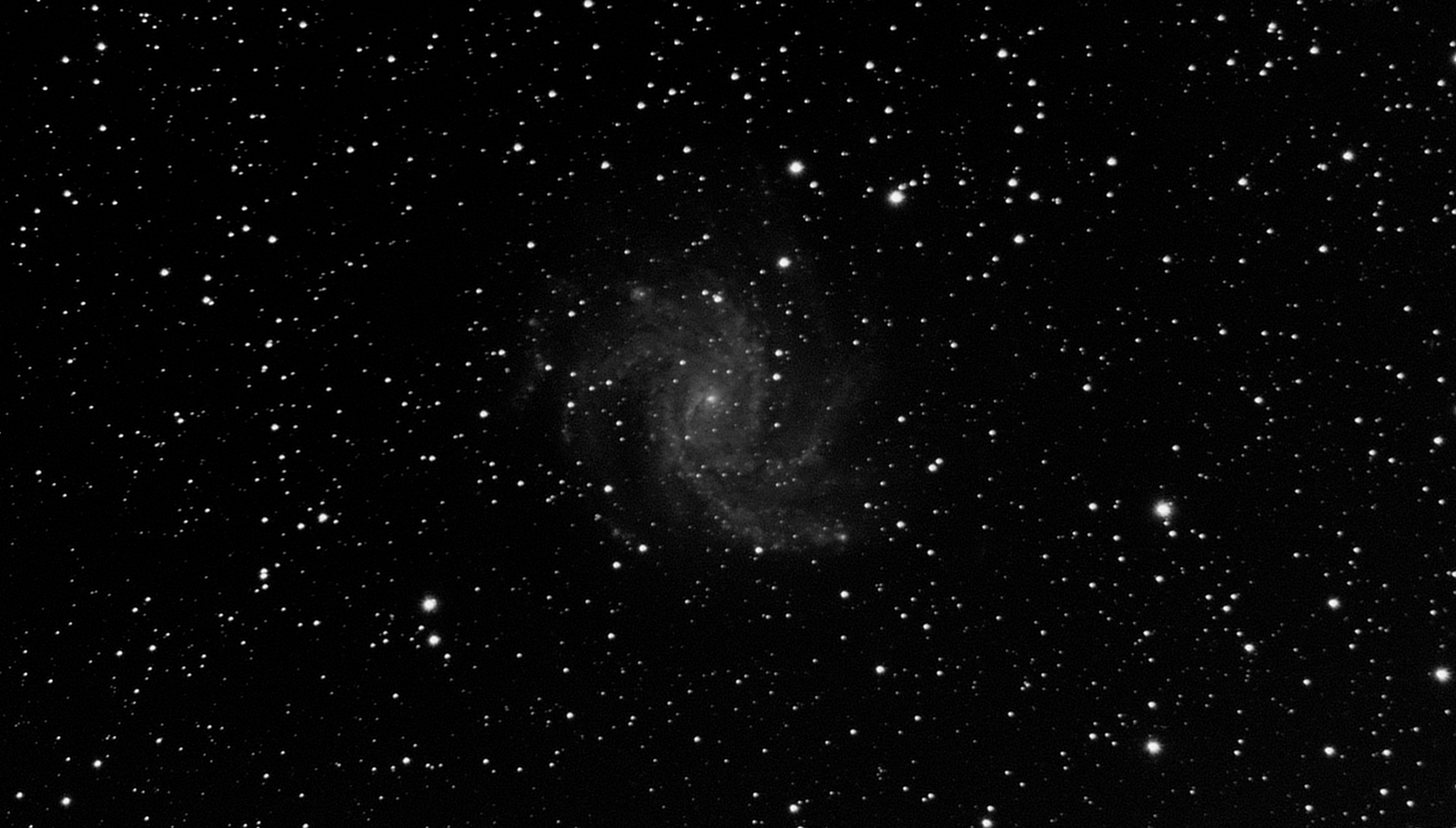 NGC6946, C12 100 frames 1500s (Cropped)