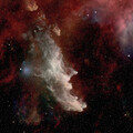 IC2118 from the Sweetwater astrophysics observatory.