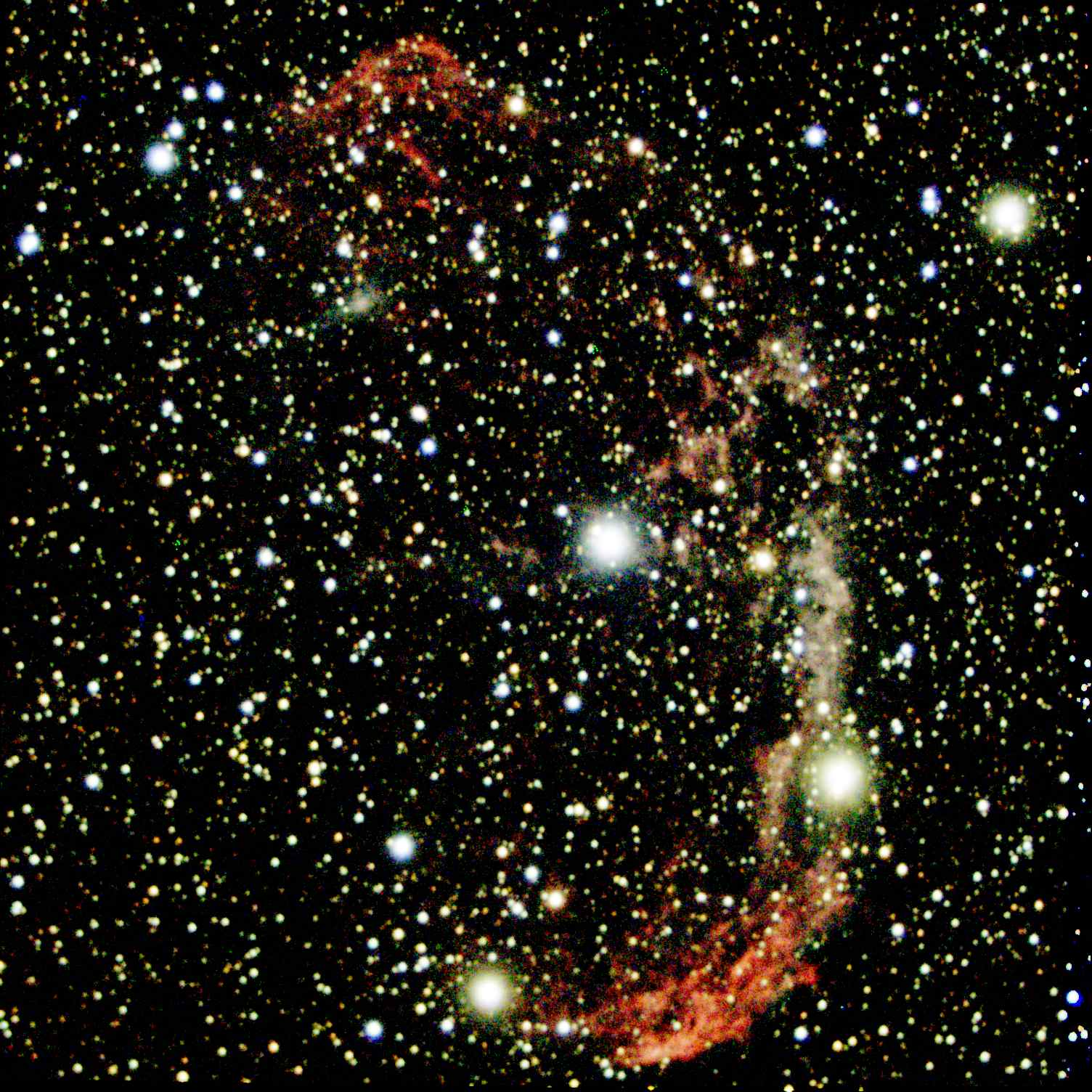 NGC 6888 - Crescent Neb._ZWO ASI533MC Pro_13 x 30,0s = 390s_5_09_2021T23_48_36_WB 50-75_RED+1.jpg