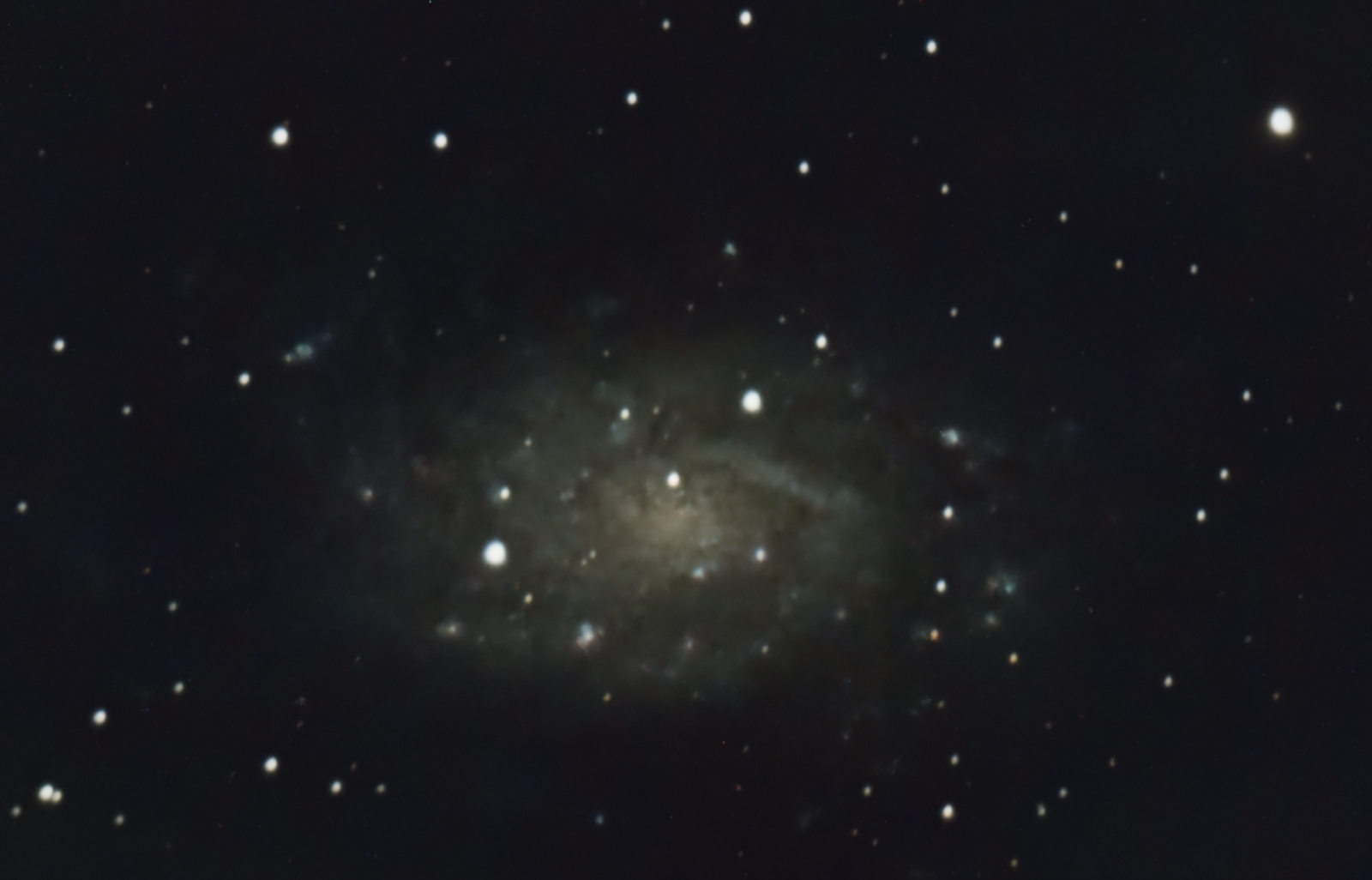 NGC2403 c11f10 2600 g350 br40 nofilter 77F 1155S APP PS23 01172023m
