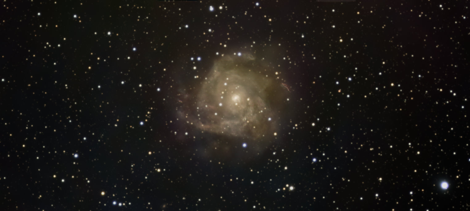 IC342 Hidden Galaxy