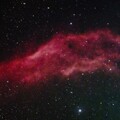 California Nebula, Vespera, 1 hr.  bortle 7