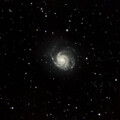 M101 - Vespera