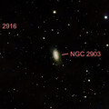 NGC2903 and NGC2916 - Vespera