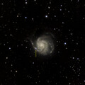 M101 with Supernova