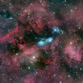 A SoDak Swan - NGC 6914 in LRGB