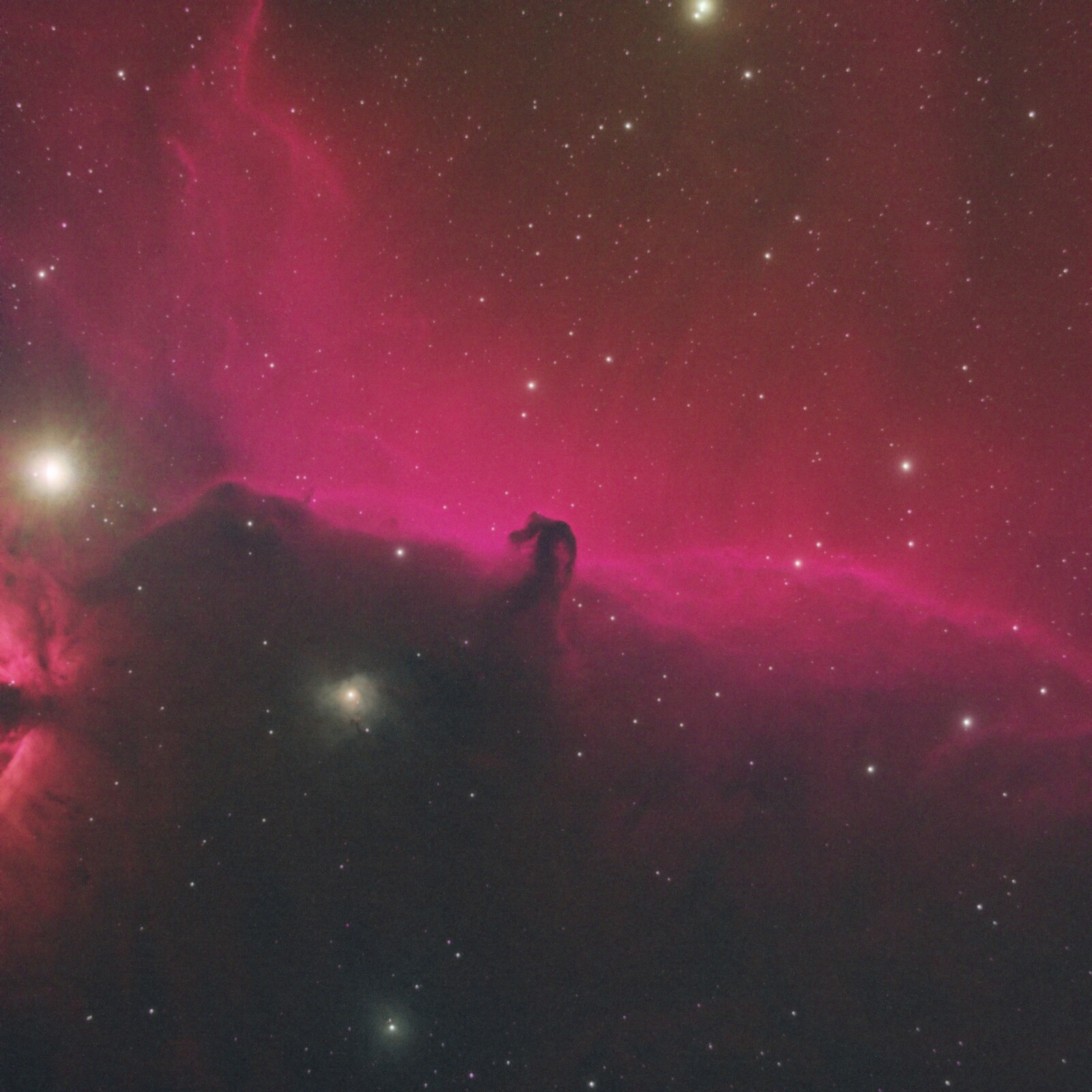 PMD - TDPerry - Horsehead - IC434 (HSO)
