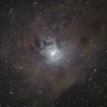 PMD - Bluephoton - Iris Nebula - NGC7023