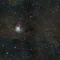 PMD - Oort Cloud - Iris Nebula - NGC 7023 - Iris crop