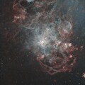 PMD - Zambiadarkskies - Tarantula Nebula - NGC 2070