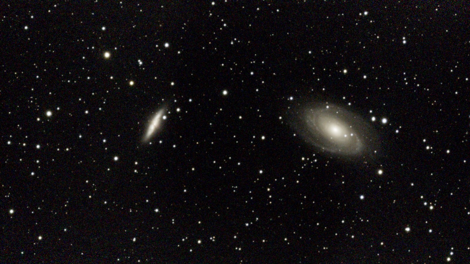 (EAA) M81 and M82