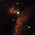 Horse Head Nebula - Vespera