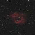 Sh2-261 (Lower's Nebula) -- Nikon D5300 & Z61ii