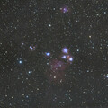 NGC 2170 (Angela Nebula)