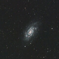 NGC2403 C7 CloseCrop