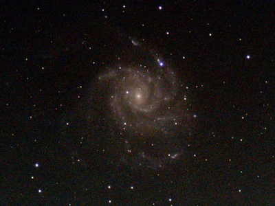 M101 supernova