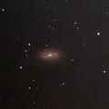 NGC2903 Stack 284frames 2840s WithAnnotations WithAnnotationscrop