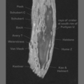 Lunar II 34: Mare Smythii