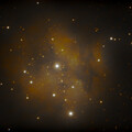 cocoon IC 5146
